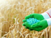 1584633607 1ryl7hhwvlg 21463