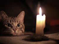 Svitlo Ansplesh 25 05 2021