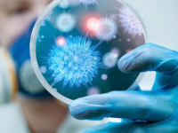 60adeabf2d54 524x262