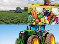 загружено 1 1