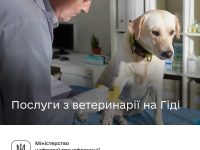 Гід ветеринари