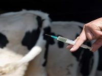 Imagevaulthandler.aspx