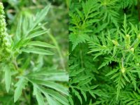 60eeb73250801809422126