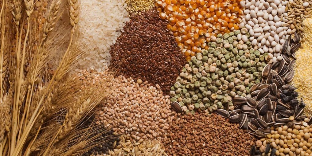 Foto Nasinnya 18.08.2021 1020x510