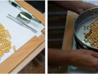 Новый рисунок