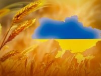 прапор. соборність