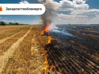 2п▓п╬пЁп╬пҐя▄ п⌡п∙п÷