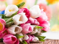 630 360 1614942977 141