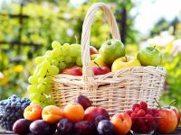 258f308a0c6201c4e6bb824473872fdf M