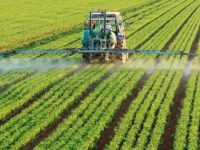 62b036263c7f2 Aea35d2c531a3d1e7525ab274865820b