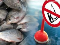 F36105fd4ee0fd9cbf0f1c306afdd3ea