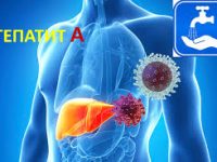 Без названия (1)