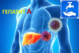 Без названия (1)