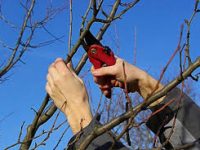 Без названия