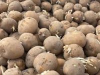 11111111111111111111