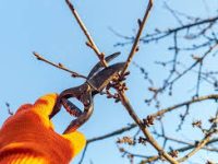 мамааааааааа