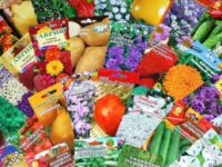 Без названия