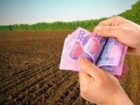 На заставку