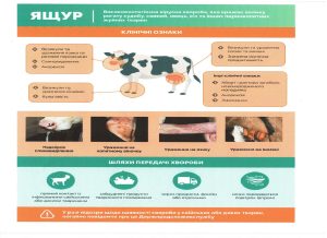 Вказівки(листівка) Ящур Page 0001