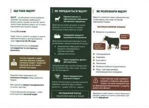 Вказівки(листівка) Ящур Page 0002