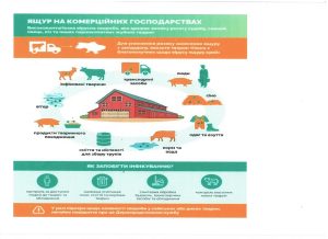 Вказівки(листівка) Ящур Page 0003