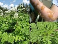 Без названия (1)