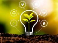 Без названия (3)