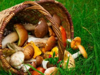 Новый рисунок