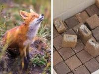 Без названия