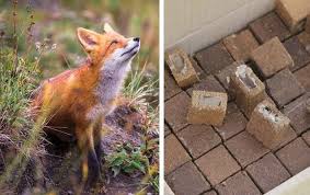 Без названия