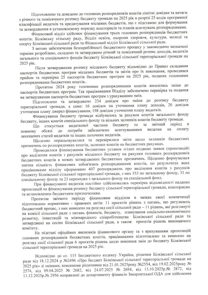 Звіт про роботу фінансового відділу за 2025 рік Page 0003