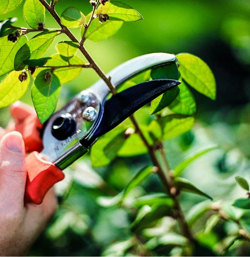 Новый рисунок (1)