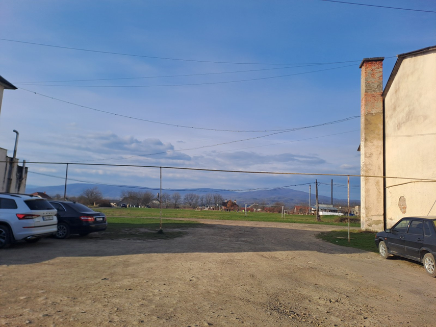 Новый рисунок (1)