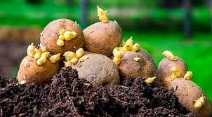 Без названия