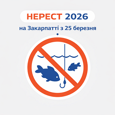 Nerest 2026
